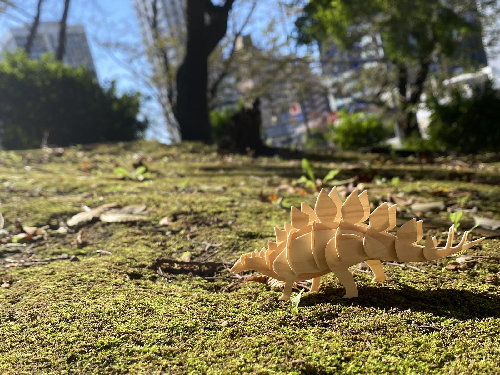 トップスライド写真
